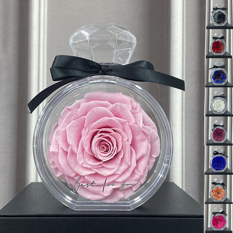 Natural Eternal Flower Ornaments Transparent Cover Dried Rose Gift Box Valentine's Day