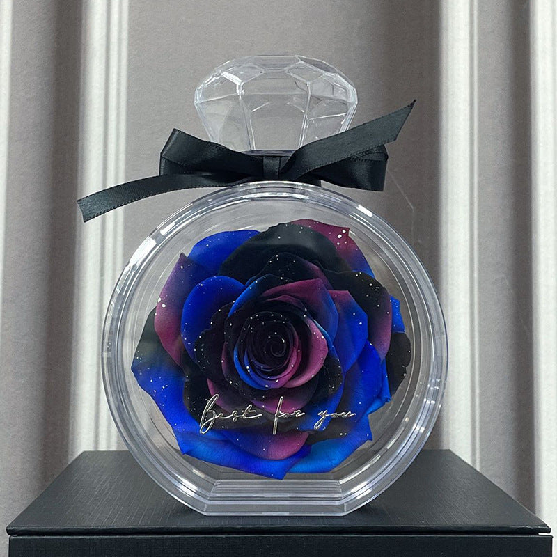 Natural Eternal Flower Ornaments Transparent Cover Dried Rose Gift Box Valentine's Day