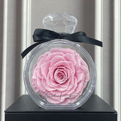 Natural Eternal Flower Ornaments Transparent Cover Dried Rose Gift Box Valentine's Day