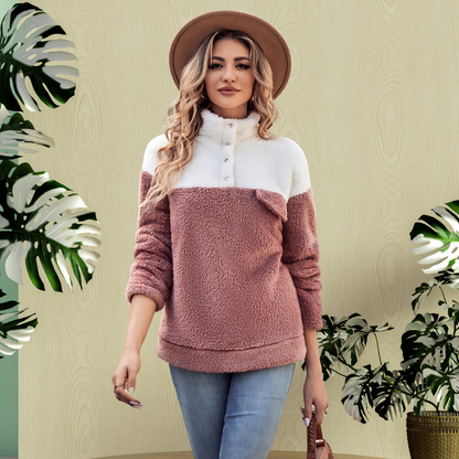 Stand Collar Plush Thick Sweatshirt