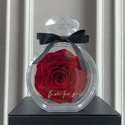 Natural Eternal Flower Ornaments Transparent Cover Dried Rose Gift Box Valentine's Day