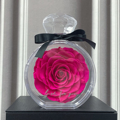 Natural Eternal Flower Ornaments Transparent Cover Dried Rose Gift Box Valentine's Day