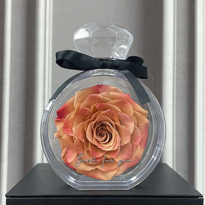 Natural Eternal Flower Ornaments Transparent Cover Dried Rose Gift Box Valentine's Day